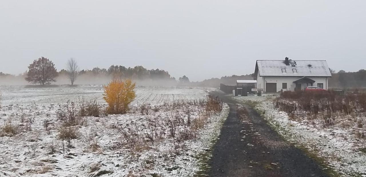 E Berry Farm - Slow Life Kaluzna Luaran gambar