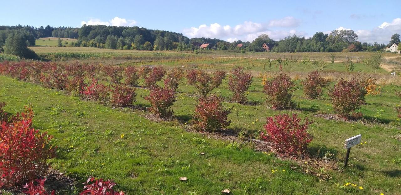 E Berry Farm - Slow Life Kaluzna Luaran gambar
