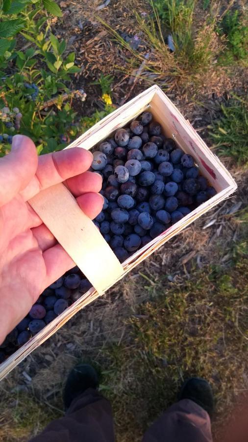 E Berry Farm - Slow Life Kaluzna Luaran gambar