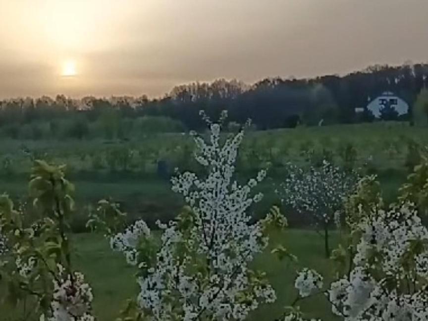 E Berry Farm - Slow Life Kaluzna Luaran gambar